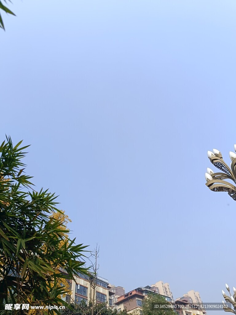 蓝天绿树间的城市景致