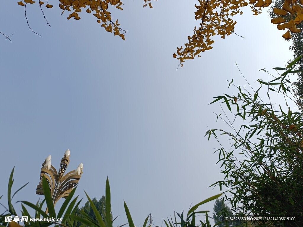 蓝天之下的花草景致