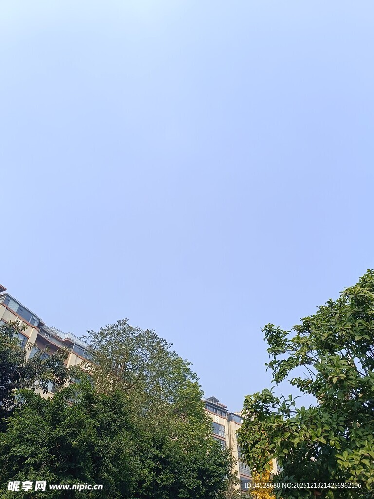 蓝天绿树旁的建筑一角