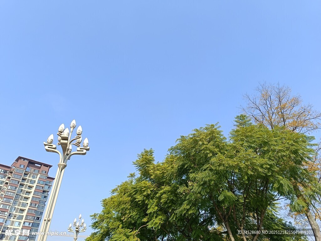 蓝天绿树旁的城市景观