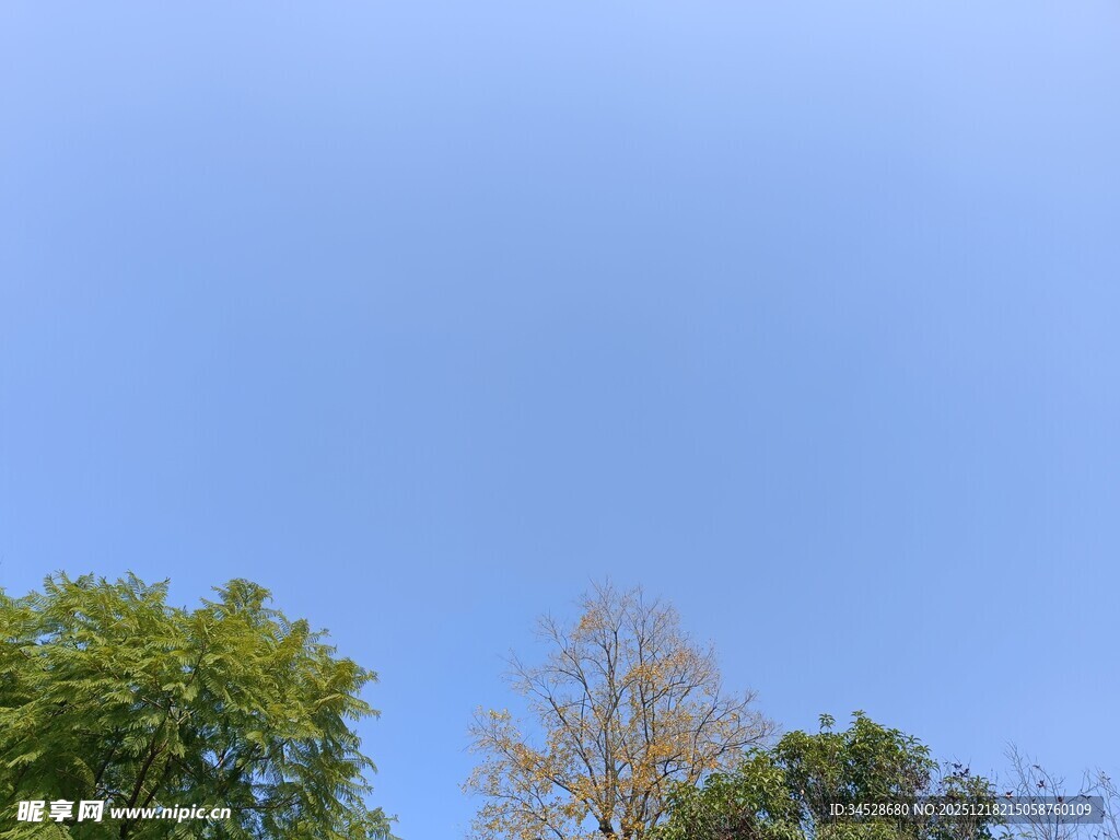 蓝天绿树秋日景致