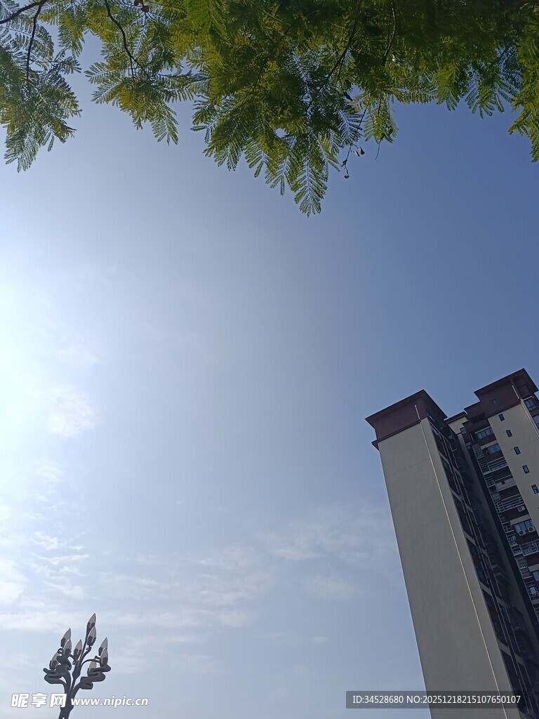 蓝天绿树旁的高楼景观