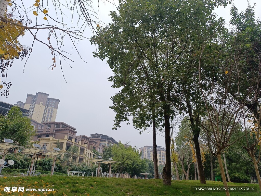 城市公园绿树环绕景致