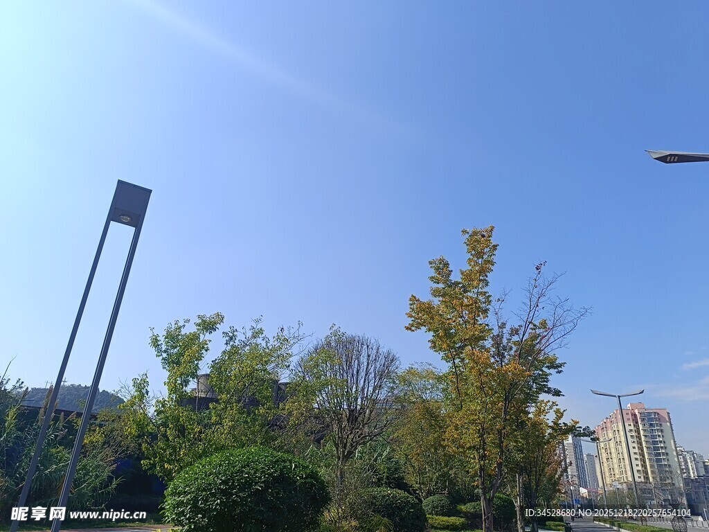 城市户外绿化景观