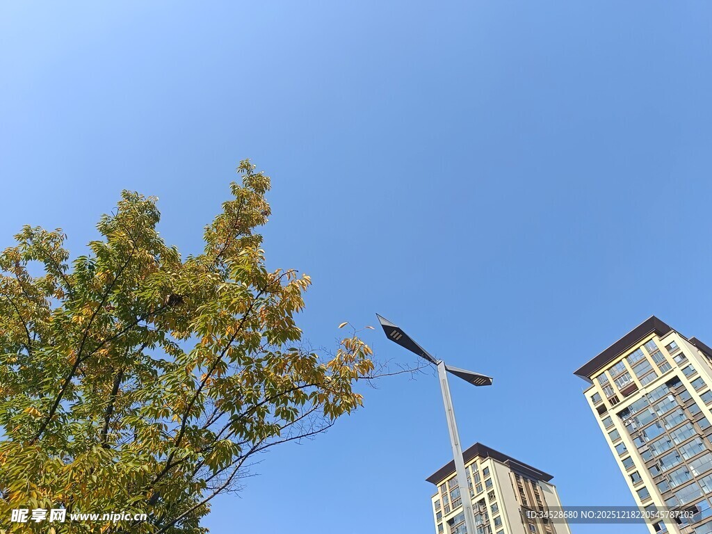 蓝天绿树旁的高楼景象