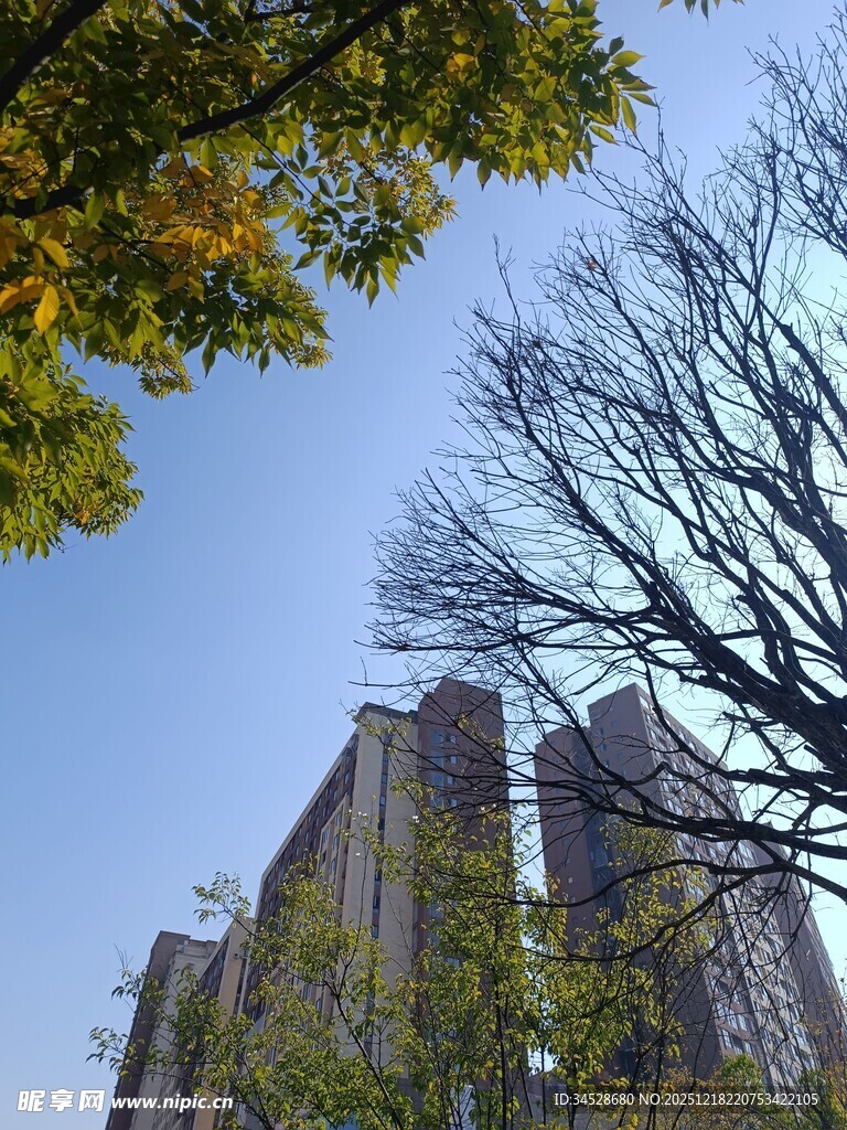 秋日蓝天映衬下的高楼