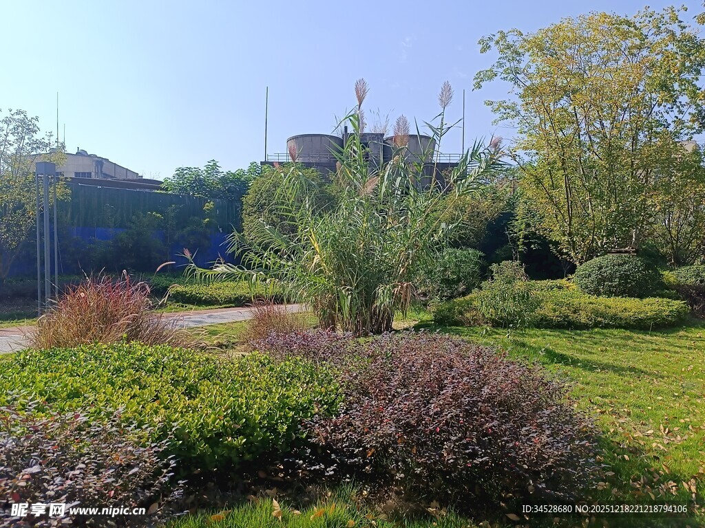 美丽户外花园景观