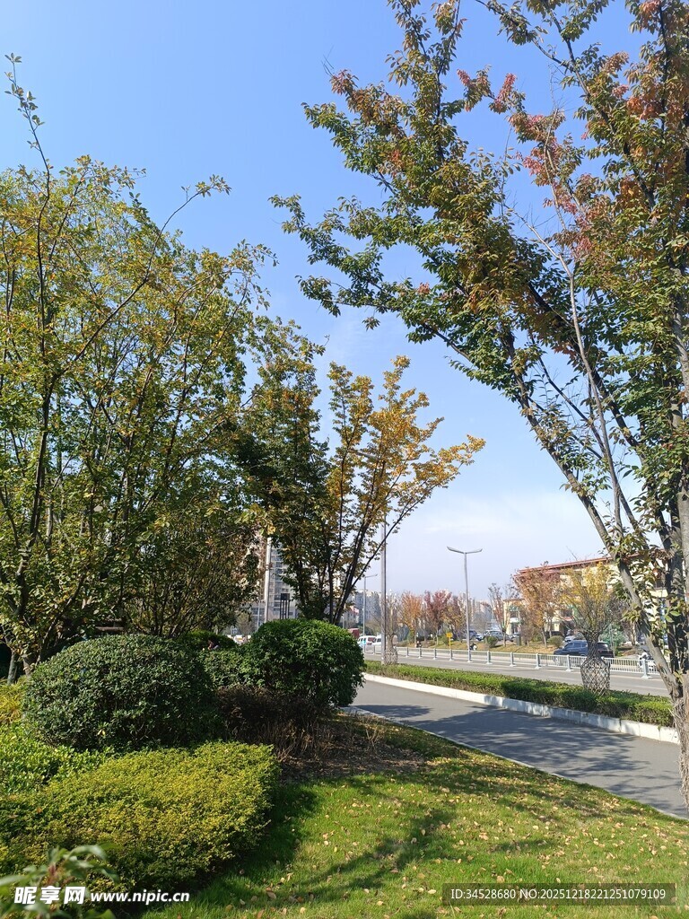 秋日公园绿意盎然景致