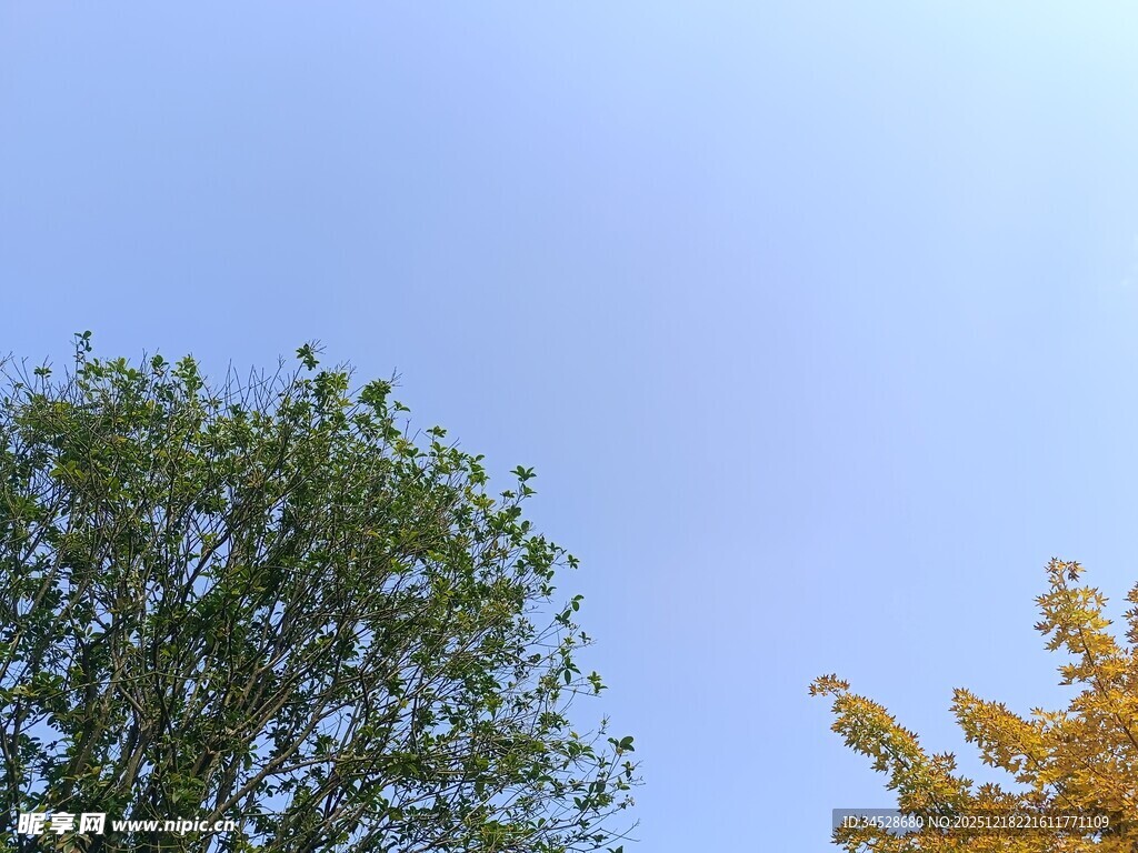 蓝天绿树秋日景致