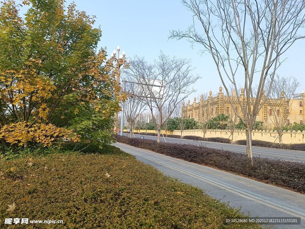 秋日林荫小道景观