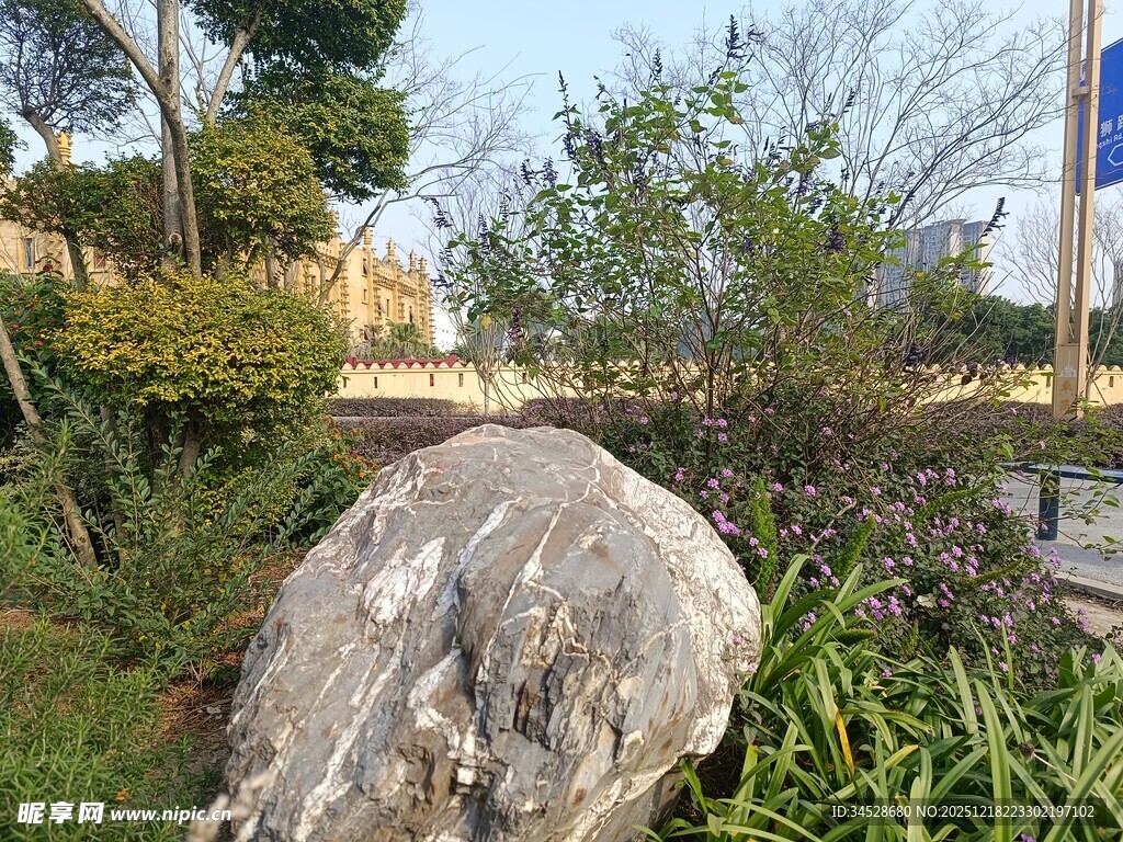 园林中巨石与绿植景观