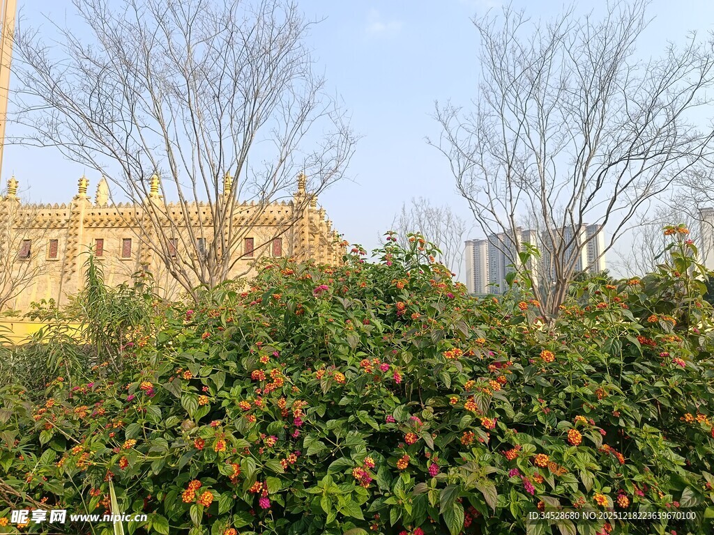 花园中的欧式建筑景观