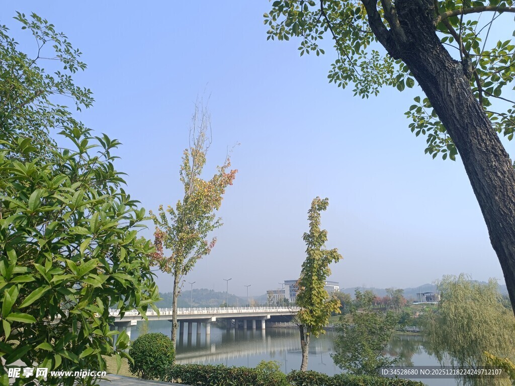 河畔绿树蓝天风景如画