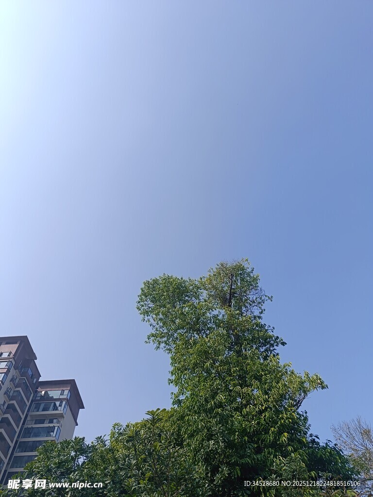 蓝天绿树旁的高楼