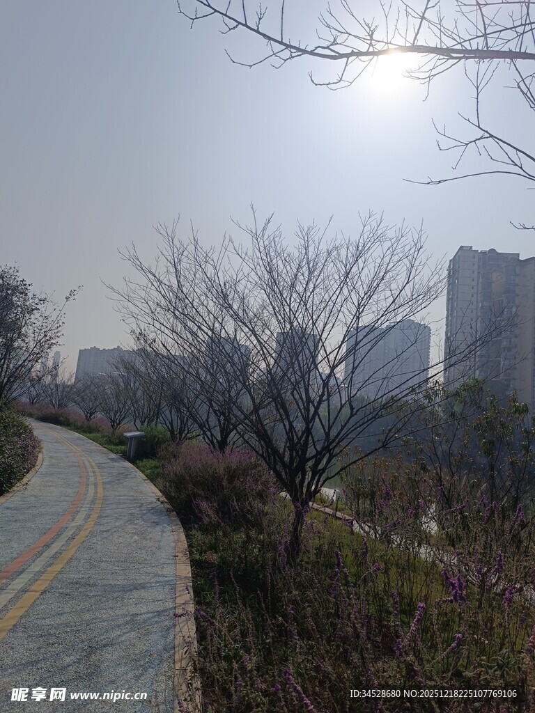 城市冬日小路景观