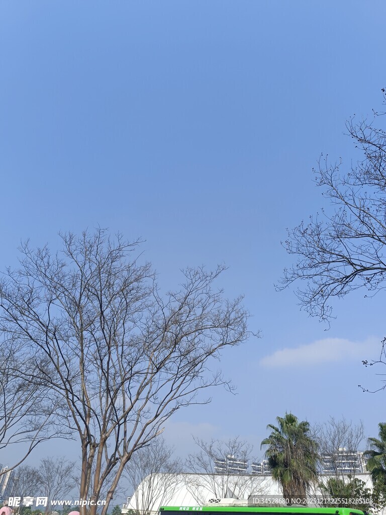 蓝天枯树旁的建筑景象