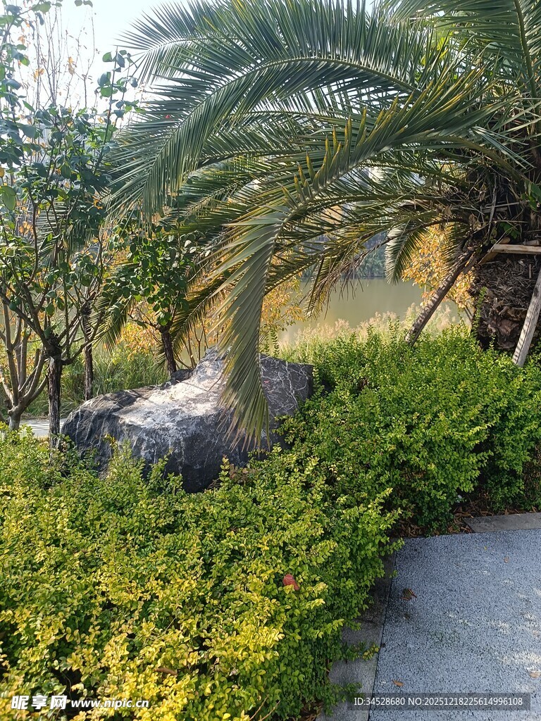 园林小径旁的绿植景观