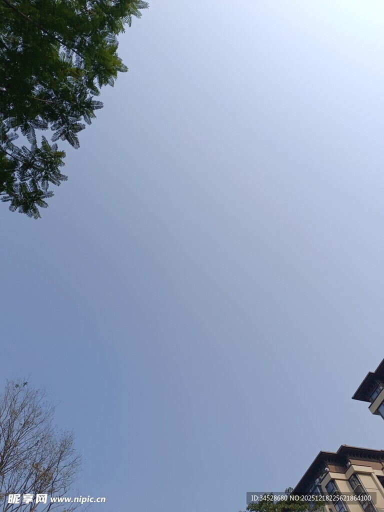 蓝天绿树旁的建筑一角