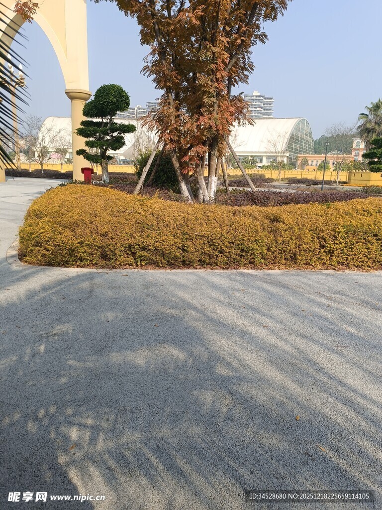 户外整洁的绿化景观