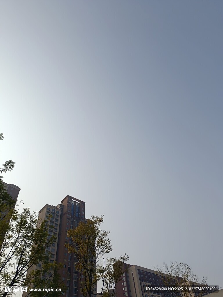 阳光下的高楼建筑