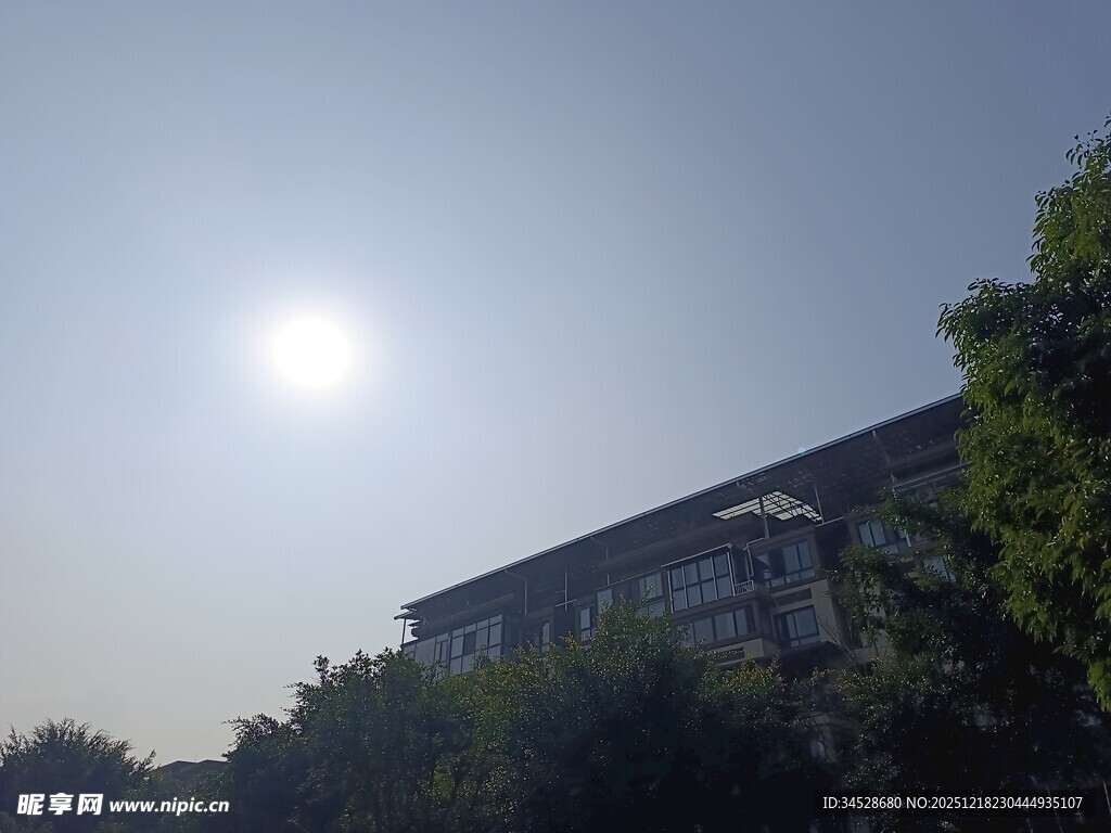 阳光下的建筑与绿植