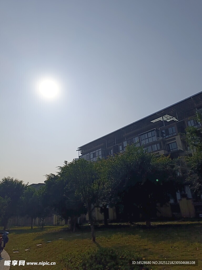 阳光下的校园建筑景观