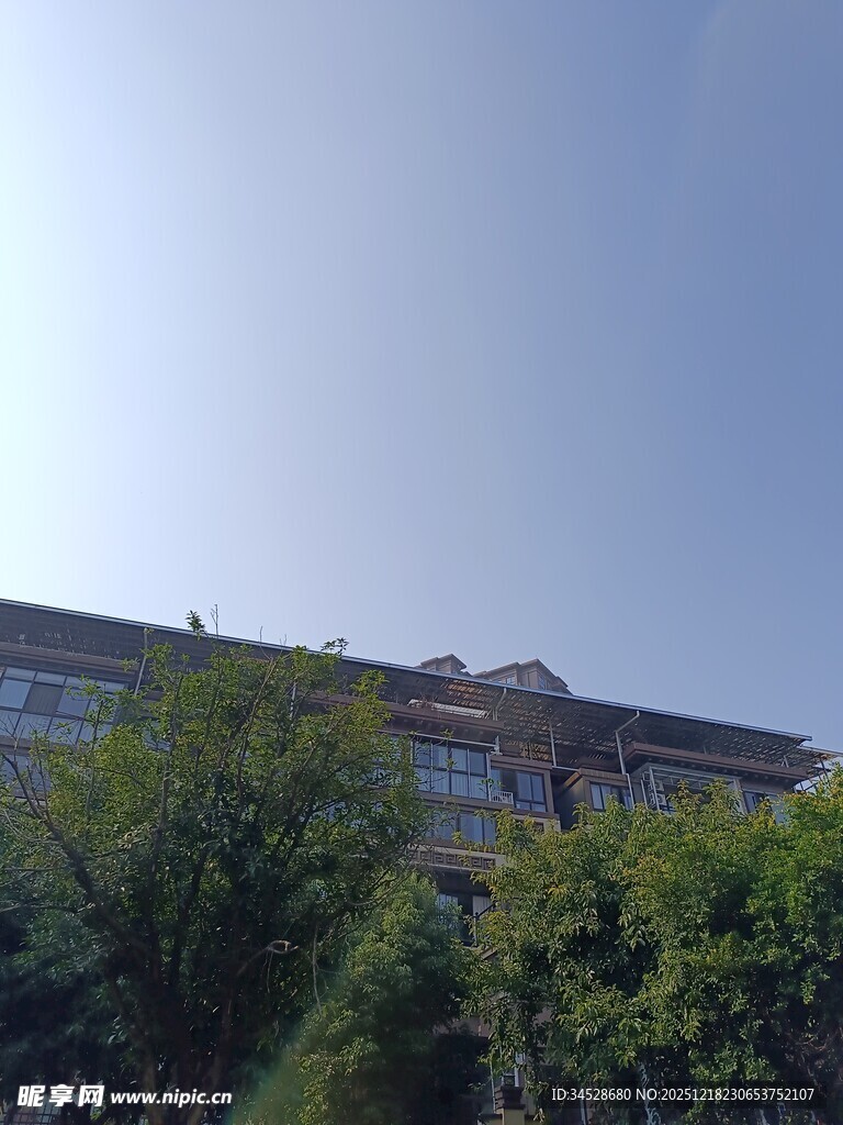 阳光下的建筑与绿植