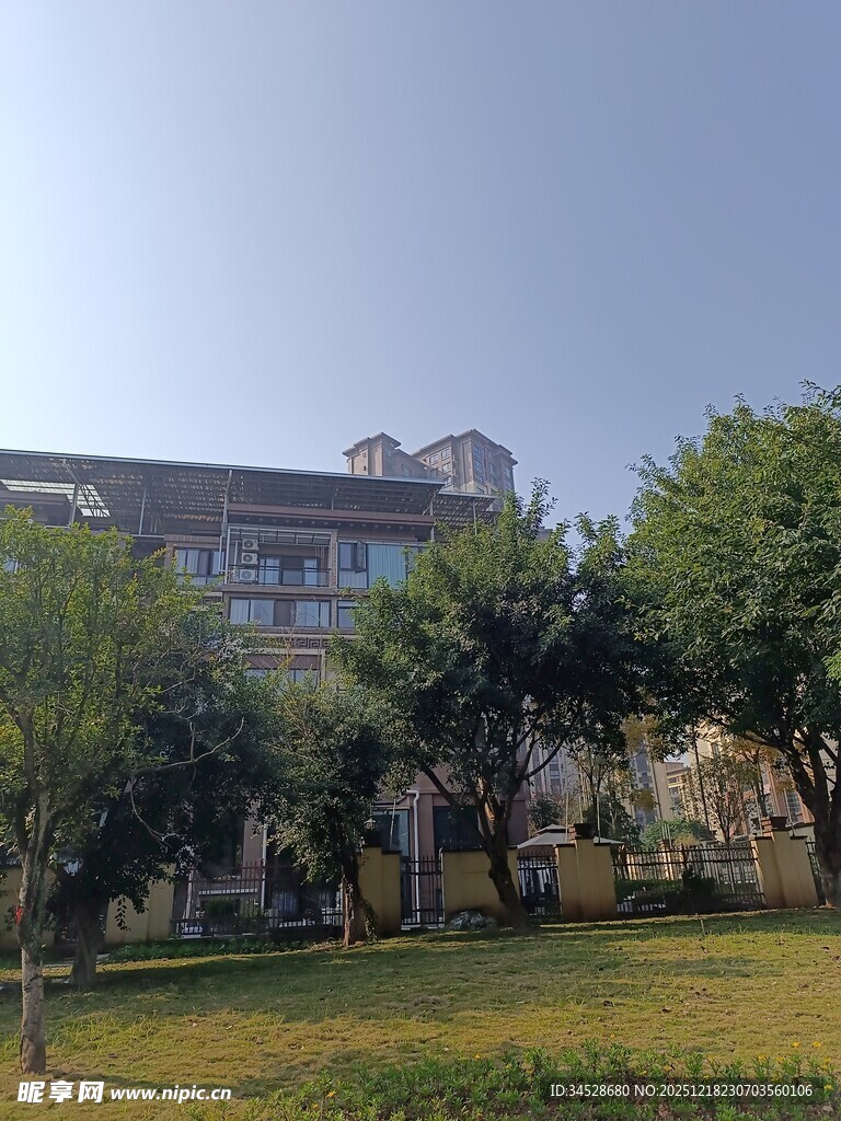 绿树环绕的多层建筑