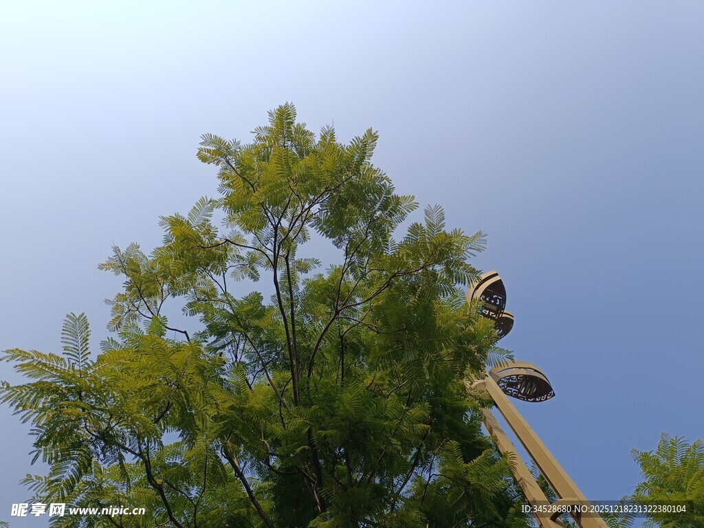 工人高空作业于绿树之上