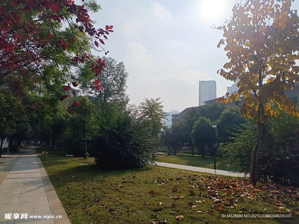 秋日公园小径美景