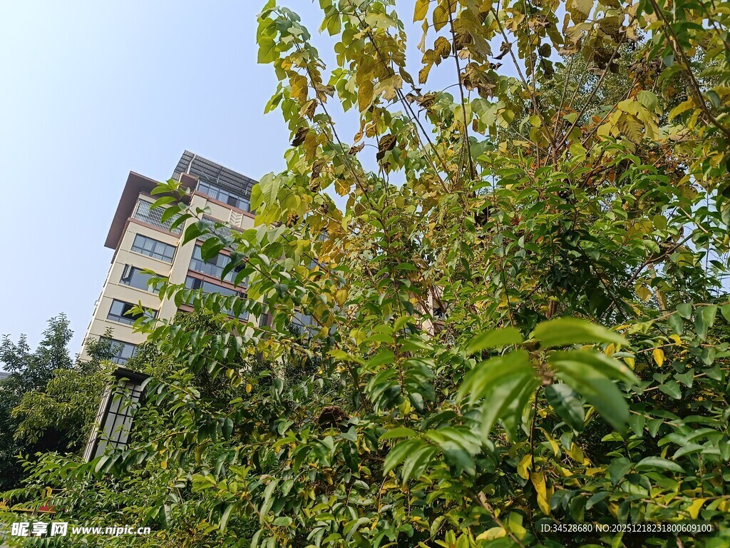 被绿植环绕的多层建筑