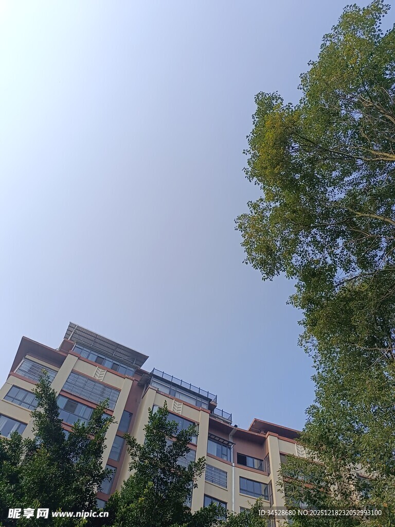 绿树掩映下的多层建筑
