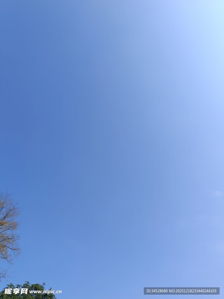 晴朗蓝天与树梢