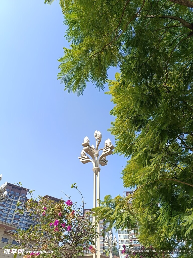 绿树间的别致路灯