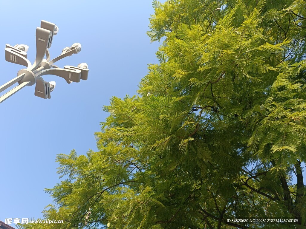 蓝天绿树间的照明灯具