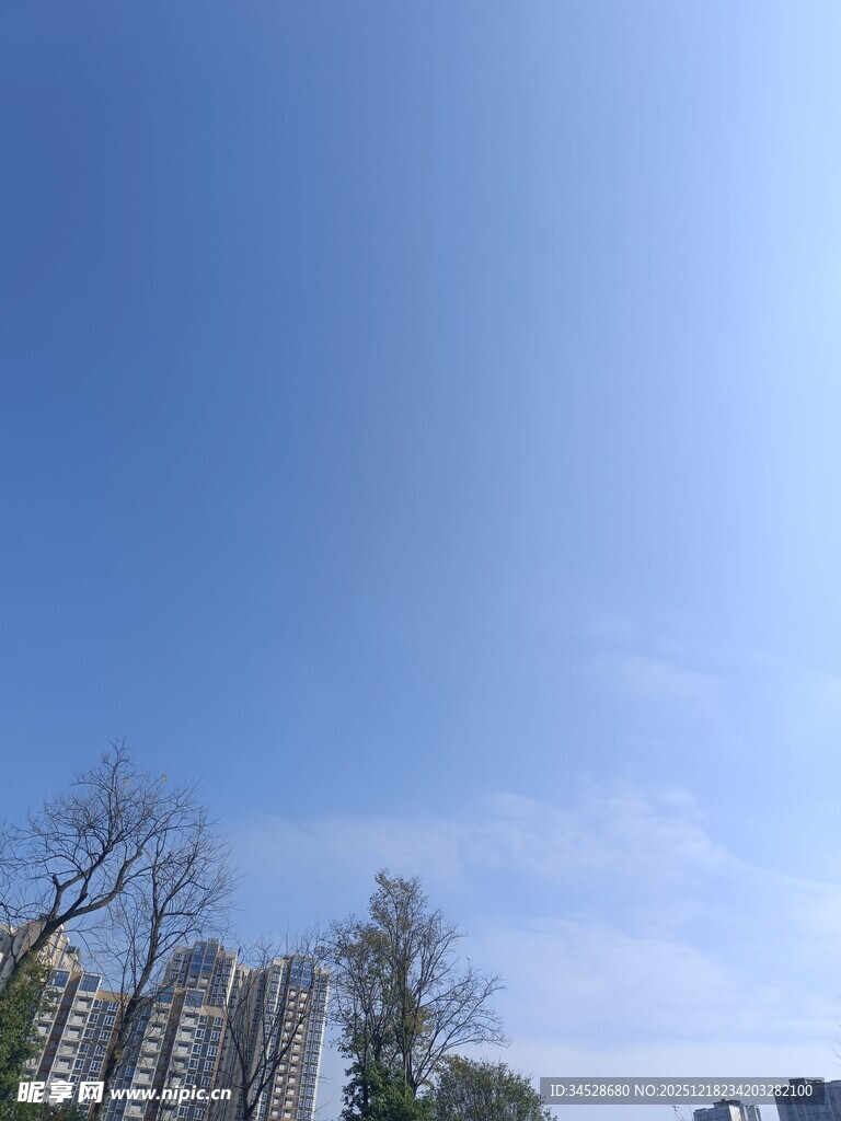 晴朗天空下的树木与建筑