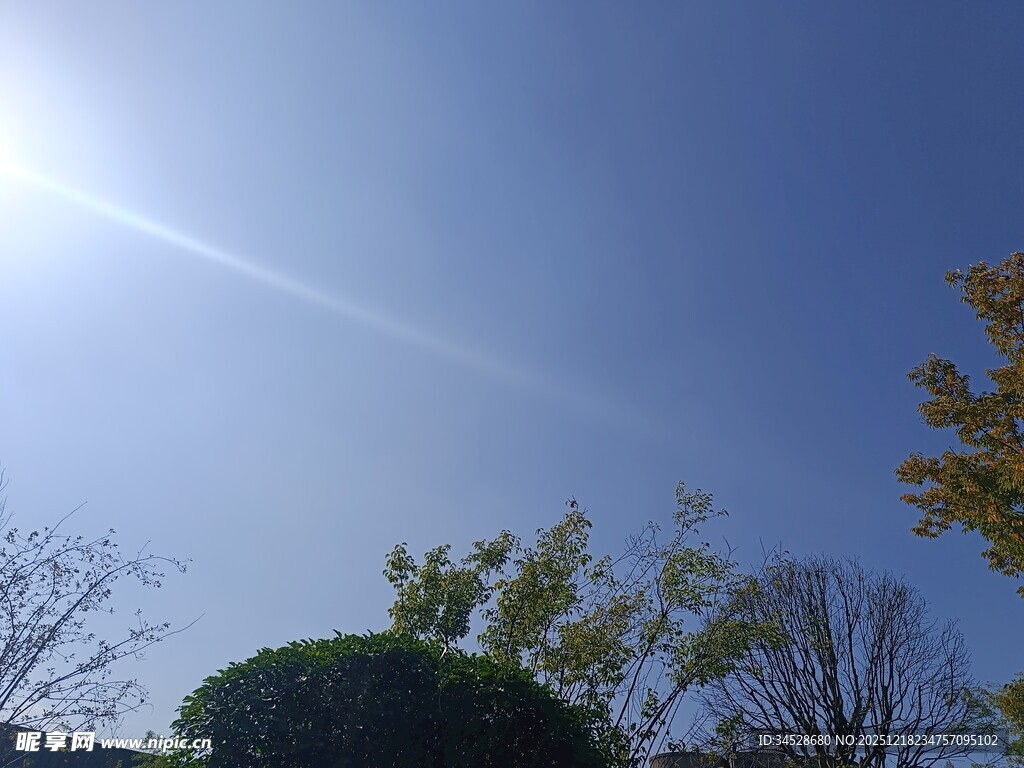 晴朗蓝天与树梢景色