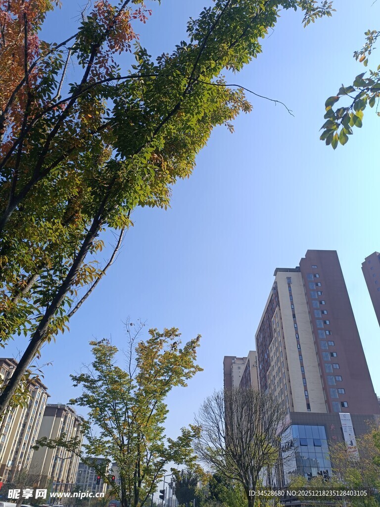 秋日城市中林立的高楼