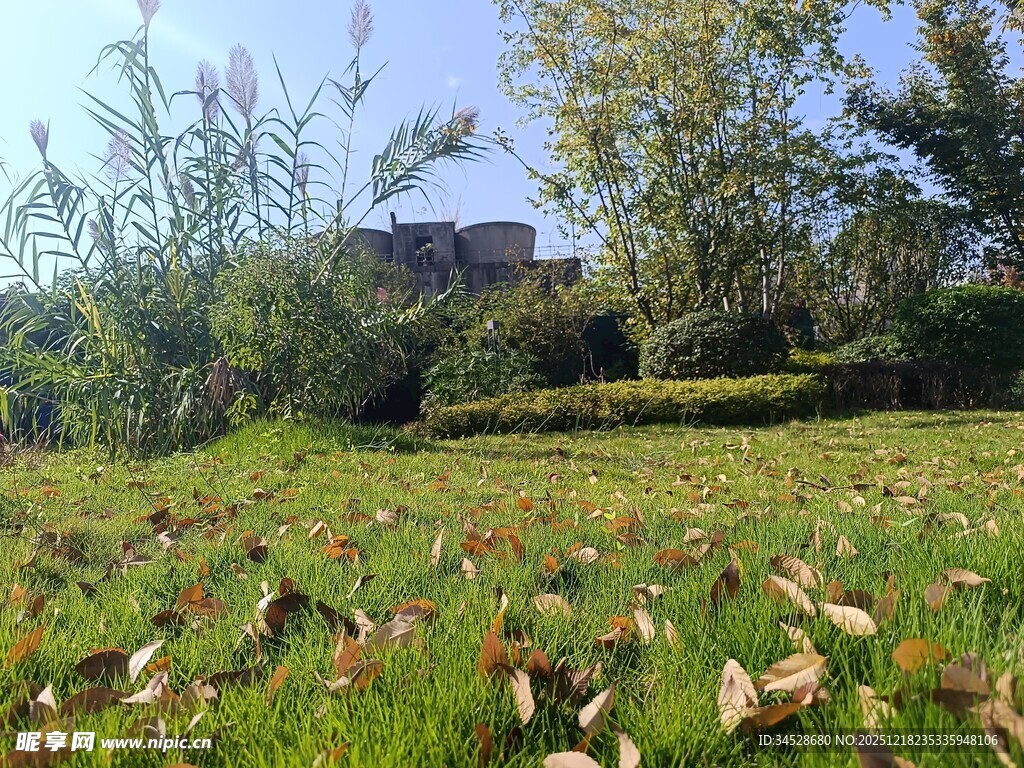 秋日草地旁的树木与建筑