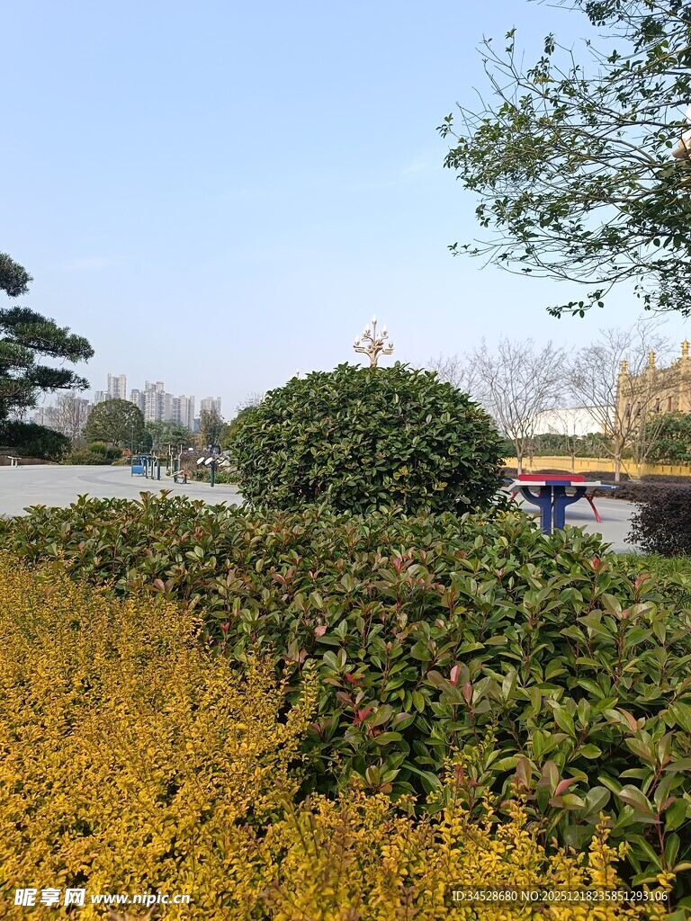 秋日园林绿植景观