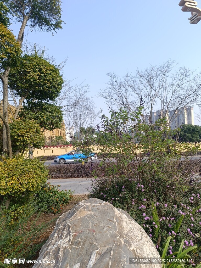 园林景观中的巨石与绿植