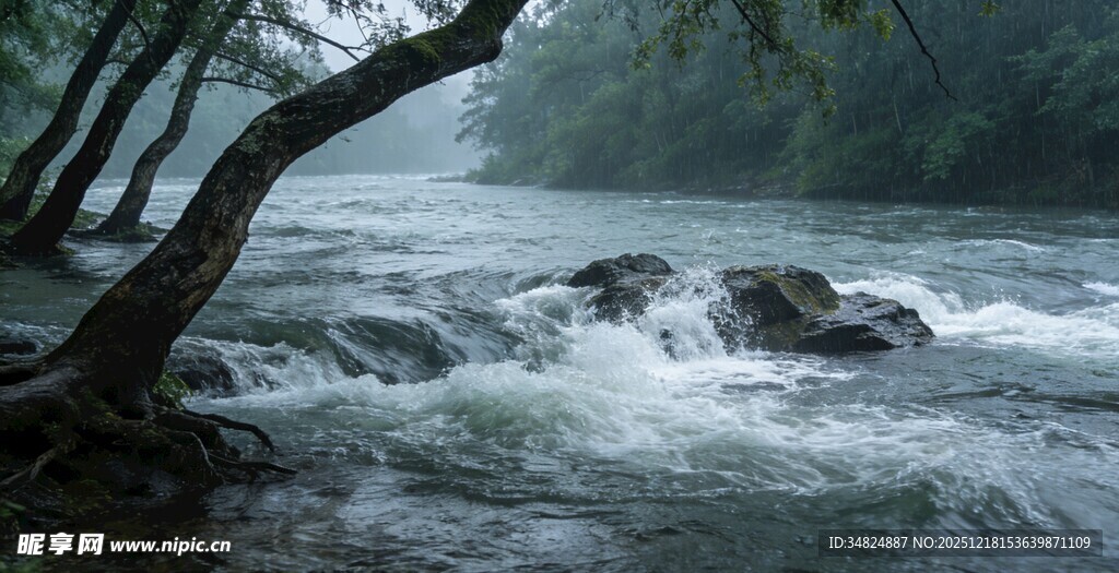 雾中湍急溪流与弯曲树干