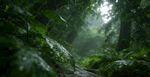 神秘雨林中的幽谧小径