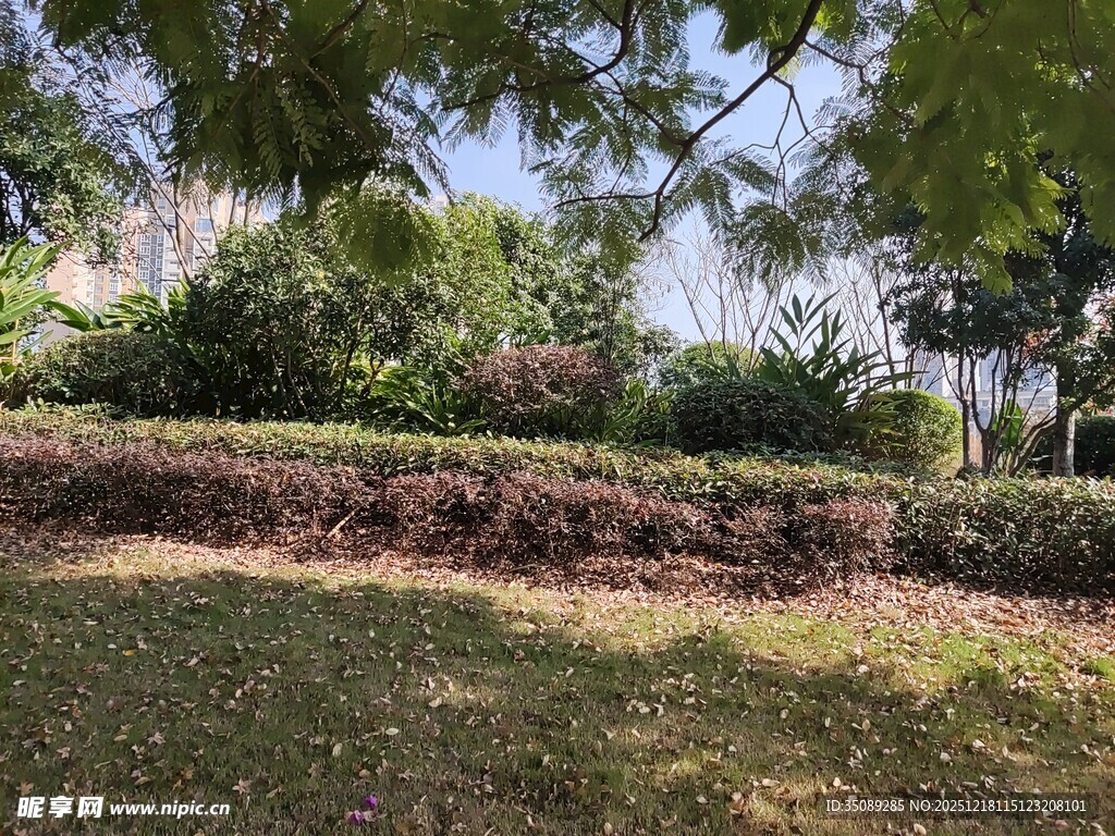 绿意盎然的户外园林景观