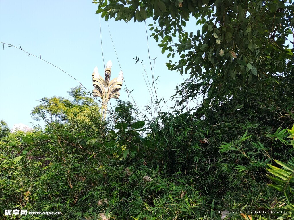 林中电线与繁茂绿植景象