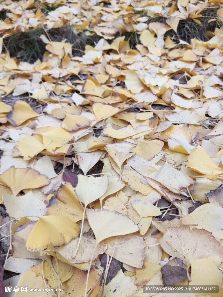 地面散落的黄色破碎瓷片