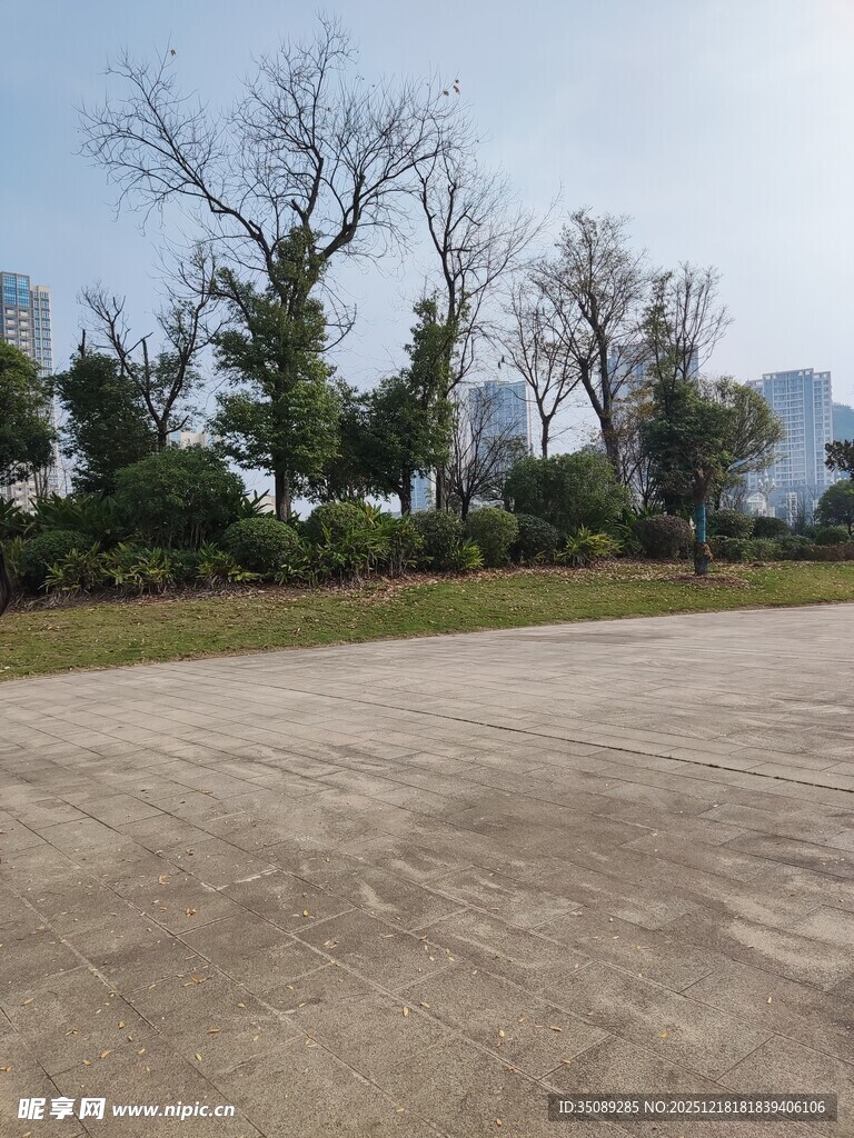 空旷户外场地与远处树木建筑