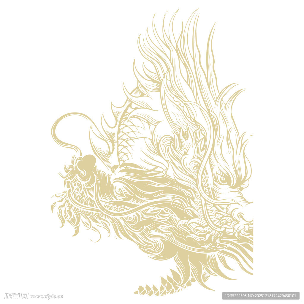 金色凤凰图案