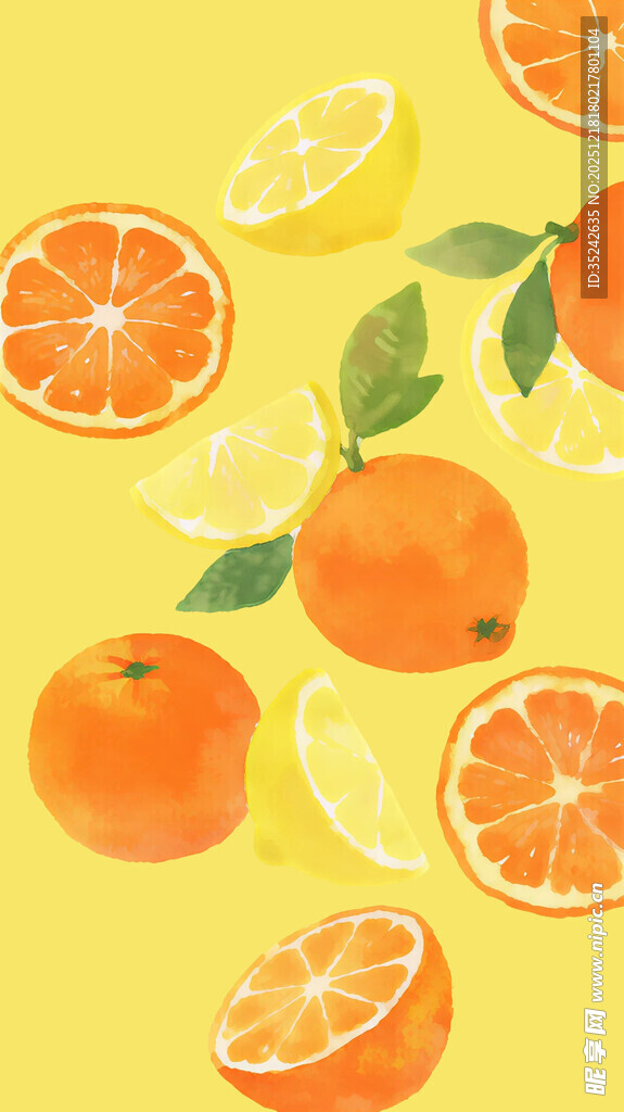 清新柑橘插画