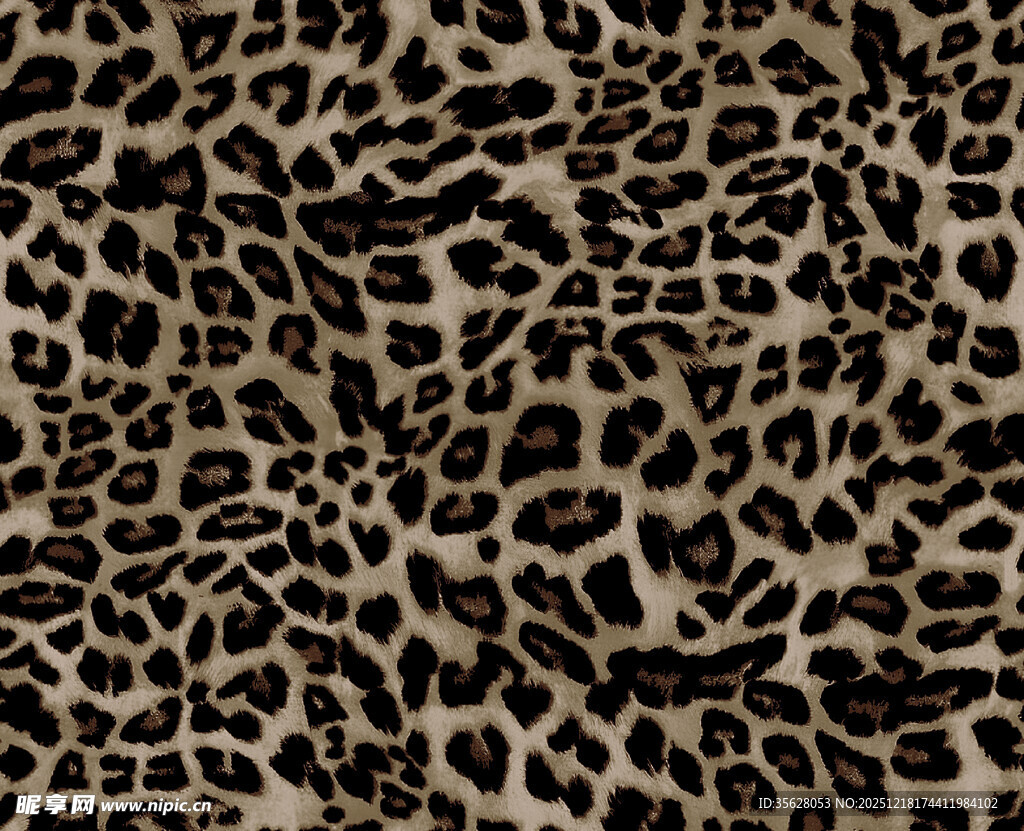 豹纹图案纹理